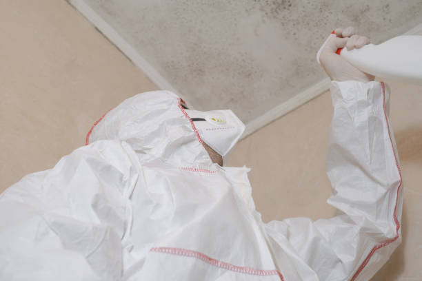 Best Office Mold Removal Services  in Morgantown, KY