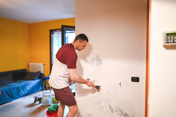 Best Same-Day Mold Removal  in Morgantown, KY