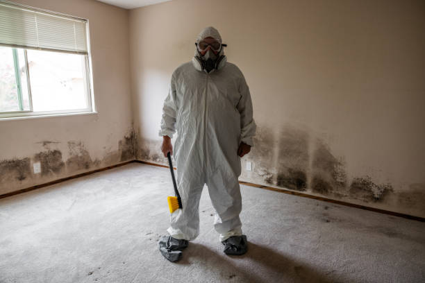 Best Mold Testing  in Morgantown, KY